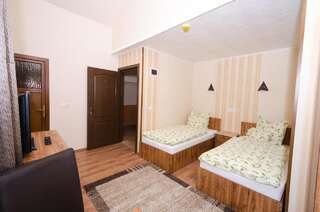 Отель Camere-Apartament Steyna Алба-Юлия Двухместный номер с 2 отдельными кроватями-3