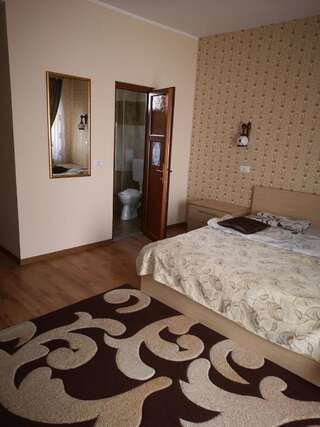 Отель Camere-Apartament Steyna Алба-Юлия Двухместный номер с двуспальной кроватью и дополнительной кроватью-2