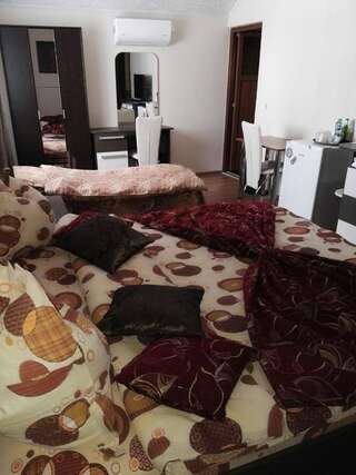 Отель Camere-Apartament Steyna Алба-Юлия Двухместный номер с двуспальной кроватью и дополнительной кроватью-6
