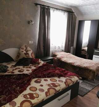 Отель Camere-Apartament Steyna Алба-Юлия Двухместный номер с двуспальной кроватью и дополнительной кроватью-7